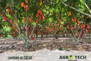 Comece a Pagar em Até 3 Anos