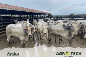 Comece a Pagar em Até 3 Anos